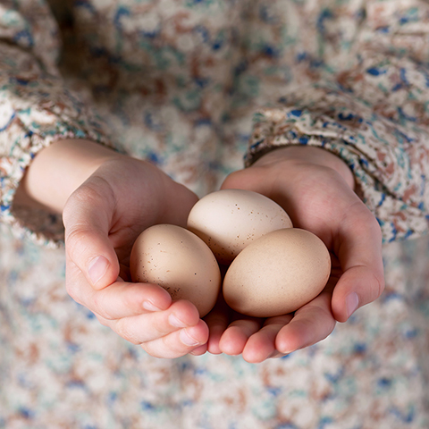 fps galerie schulen kitas eier in kinderhaenden