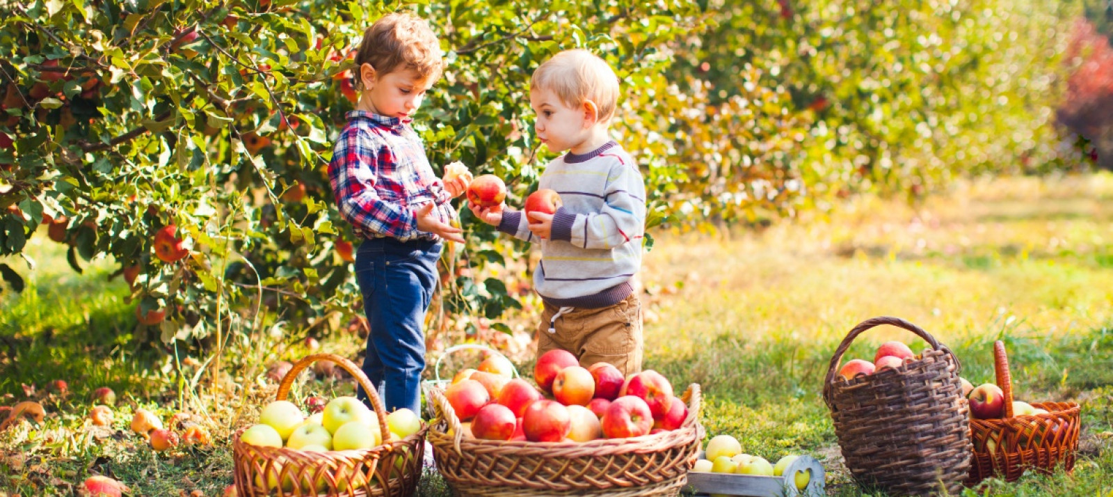 FPS Catering Schulcatering Kindergartencatering Biologisch Ausgewogene Speisen