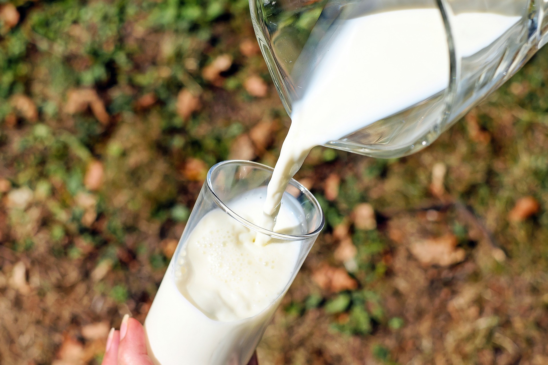 fps catering lieferanten nieder ramstaedter diakonie muehltal werkstaetter sonnenhof milch