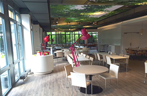 cosnova lounge 01