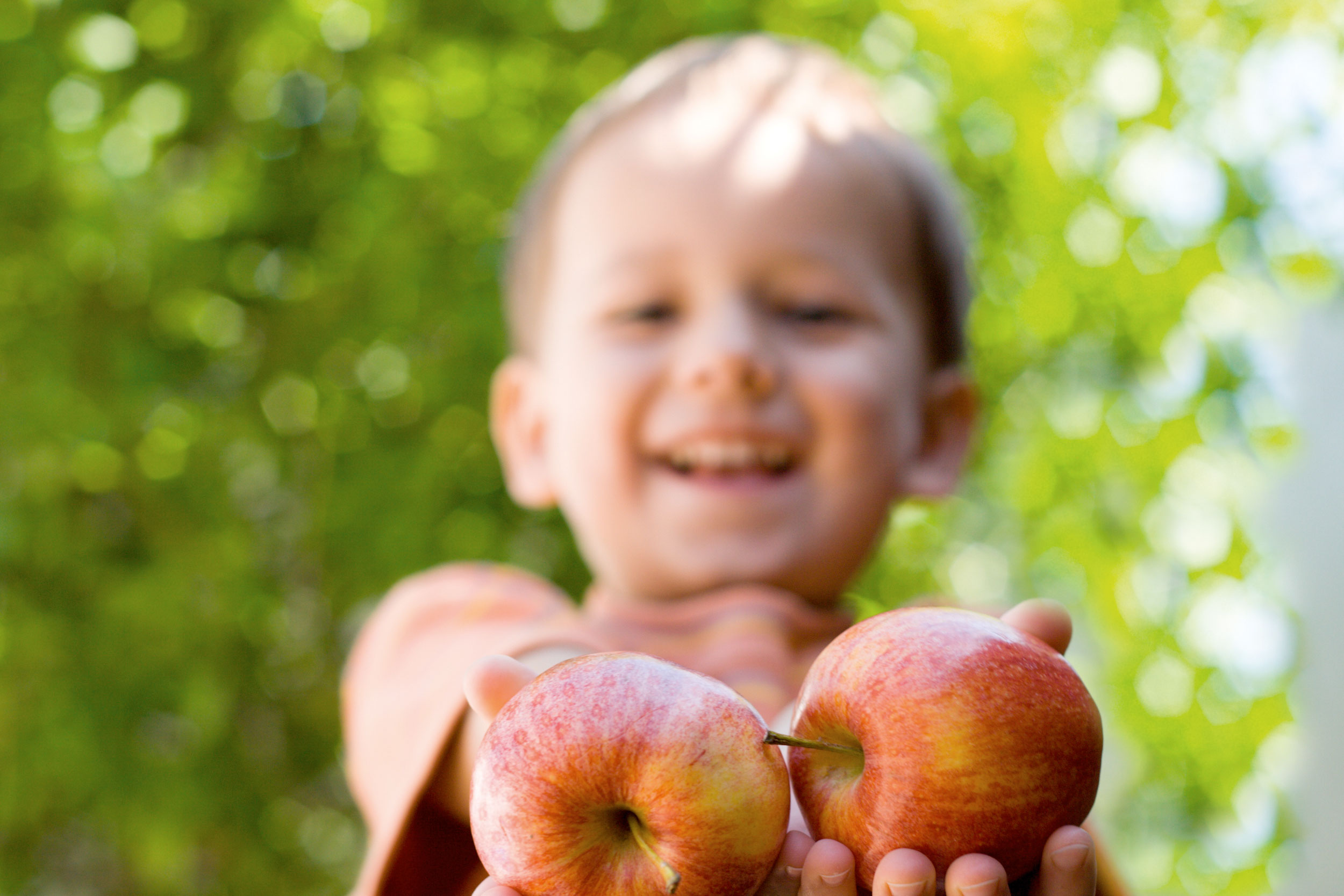 bio qualitaet junge apfel