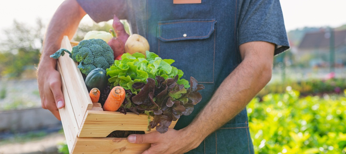 FPS Catering Schulcatering Kitacatering Biologisch Gesunde Speisen