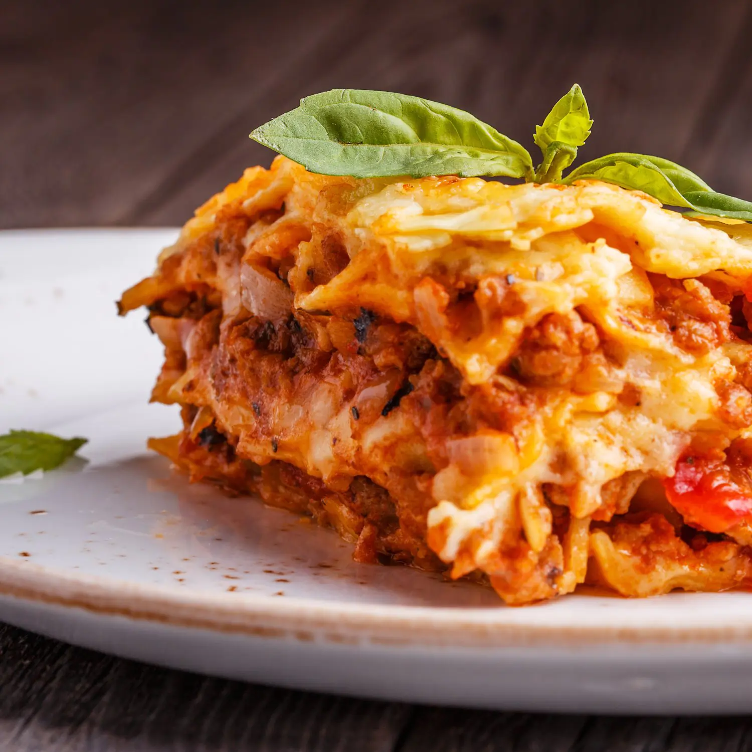 catering lasagne fps catering