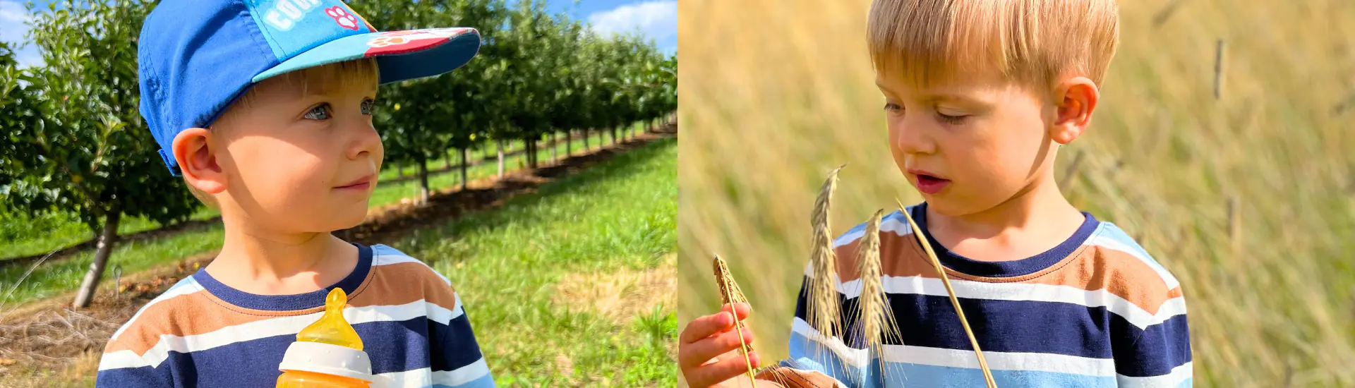 fps catering kita catering kind obstwiese frische ernaehrung